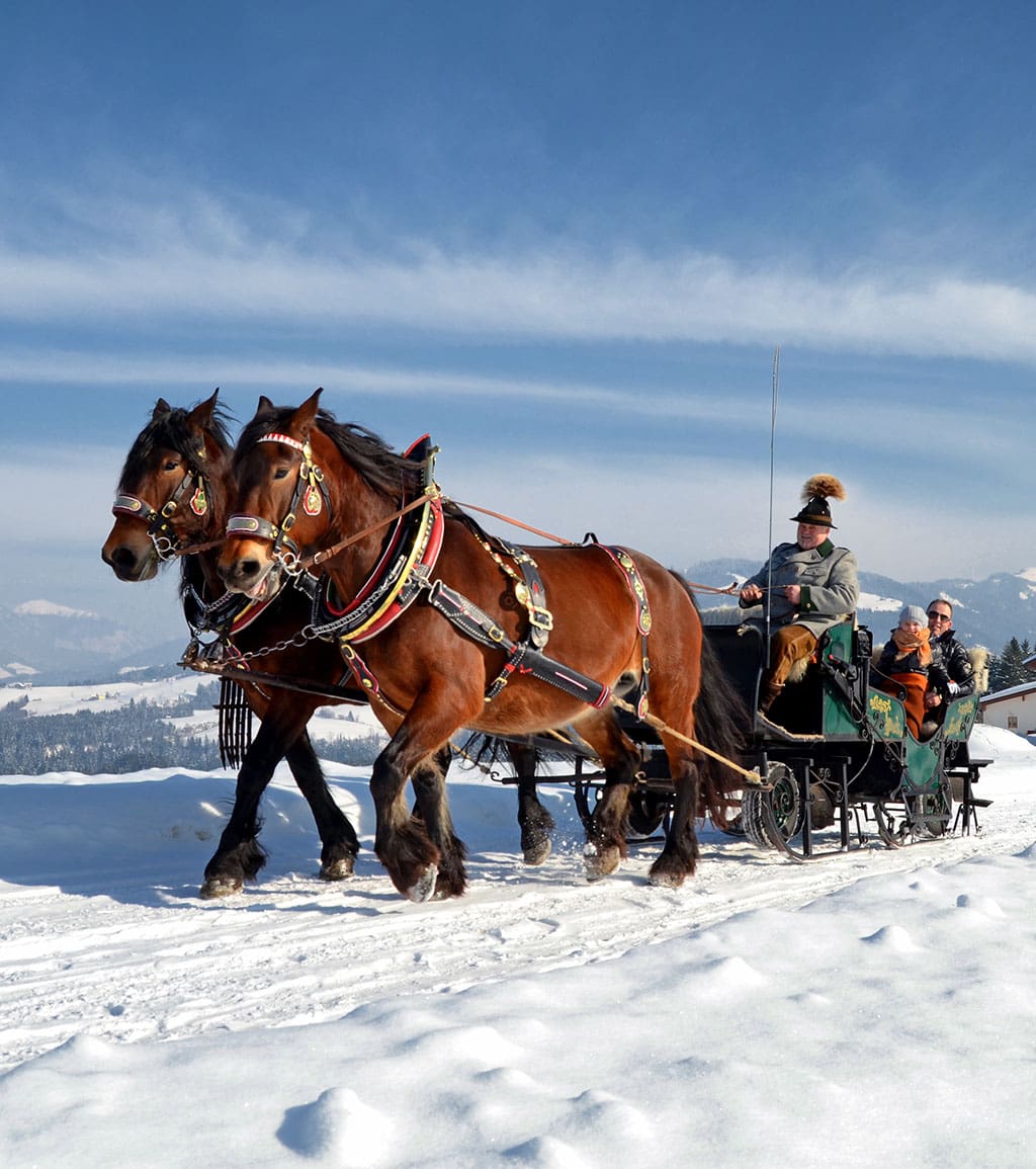Pferdeschlittenfahren - Winterurlaub & Skiurlaub in Abtenau