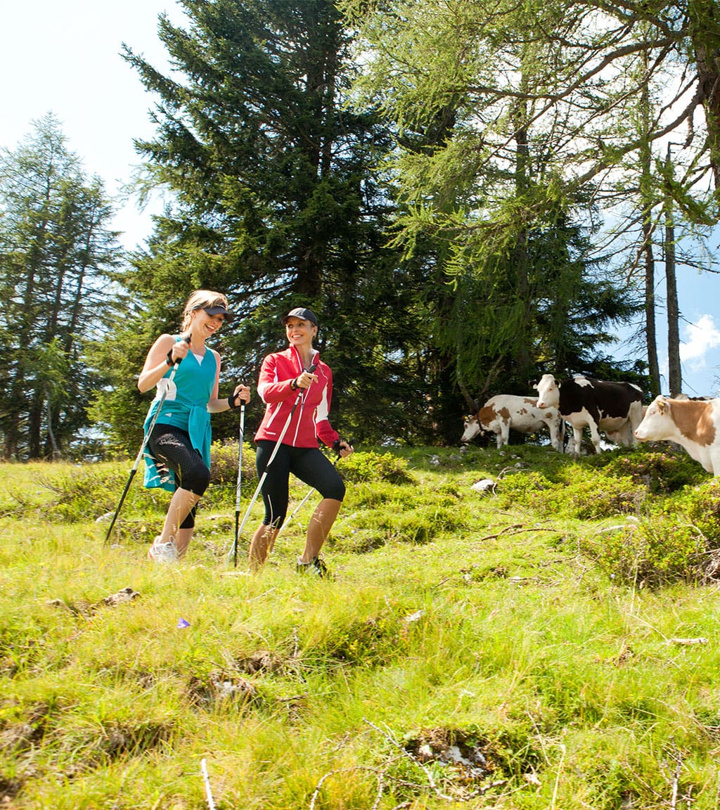 Wandern - Sommerurlaub in Abtenau, Salzburger Land